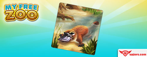 L&rsquo;ornithorynque d&eacute;barque dans my free zoo