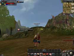 copie d'�cran de 9 Dragons