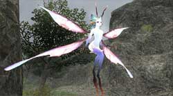 copie d'�cran de Final Fantasy 11