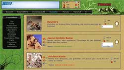 copie d'�cran de Fourmizzz