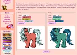 copie d'�cran de Poney Vallee