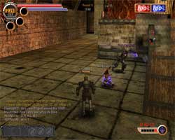 copie d'�cran de Rakion