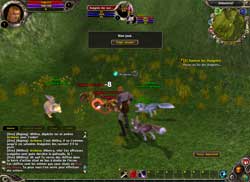 copie d'�cran de Runes Of Magic