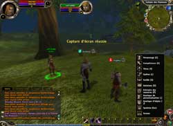 copie d'�cran de Runes Of Magic