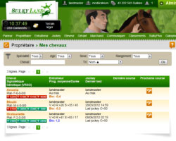 copie d'�cran de Sulkyland